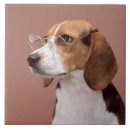 Search for beagle tiles Animal