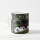 Search for cute squirrel mugs Photography