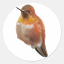 Search for ornithology stickers Hummingbird