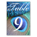 Search for peacock table cards Feather