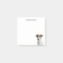 Search for jack Jack russell terrier