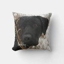 Search for black lab cushions Labrador retriever