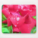 Search for red petal mousepads Rose