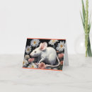 Search for white rat cards Cute