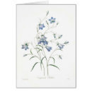 Search for campanula Vintage