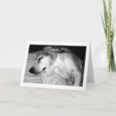 Search for retired dog cards Humourous