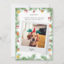 Search for naughty dog cards Animal