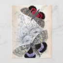 Search for vintage insect illustration postcards Moths