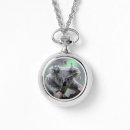 Search for bear watches Koala