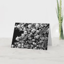 Search for india invitations Flowers