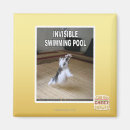 Search for swimming pool magnets I can has cheezburger