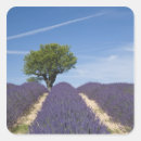 Search for provence stickers Purple