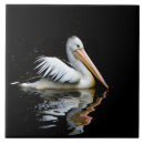 Search for pelican tiles Animal