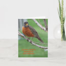 Search for robin bird birthday cards Photography