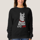 Search for bad dog Trainer