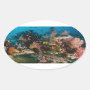 Search for coral reef life stickers Fish