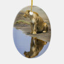 Search for safari christmas tree decorations Zoo