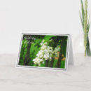 Search for cluster cards Photography