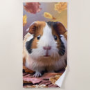 Search for guinea pig beach towels Rodent