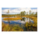 Search for bog posters Wetland