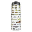 Search for sunfish mugs Bass