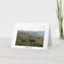 Search for peru cards Llama