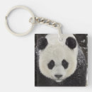 Search for smithsonian key rings Cute pandas