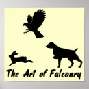 Search for falconry posters Bird of prey