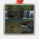 Search for on fork christmas tree decorations Forest