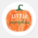 Search for little pumpkin stickers Pumpkin first birthday