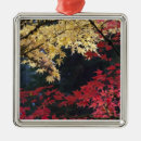 Search for japanese maple christmas tree decorations Colour
