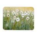 Search for spring magnets Botanical