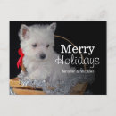 Search for west highland terrier christmas cards Close up