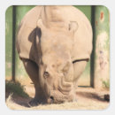 Search for white rhino stickers Zoo