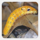 Search for swallowtail stickers Yellow