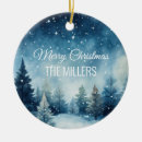 Search for winter scene christmas tree decorations Forest