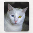 Search for odd mousepads White