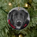 Search for labrador dog christmas decor Puppy