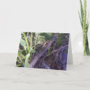 Search for swamp cards Bayou