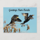 Search for wading postcards Bird