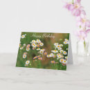 Search for happy birthday daisy flower postcards Colourful