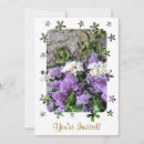 Search for lilacs photography Plants