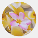 Search for fragrance stickers Hawaii