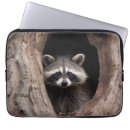 Search for wildlife cases Forest