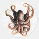 Search for cephalopod stickers Octopus