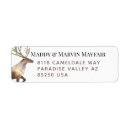 Search for reindeer return address labels Animal