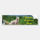 Search for golden retriever bumper stickers Puppies