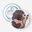 Search for open mouth Funny horse