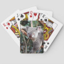 Search for koala bear playing cards Australia
