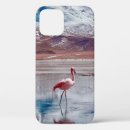 Search for flat iphone cases America